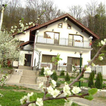 Pension Casa Natura Baile Herculane Ngoại thất bức ảnh