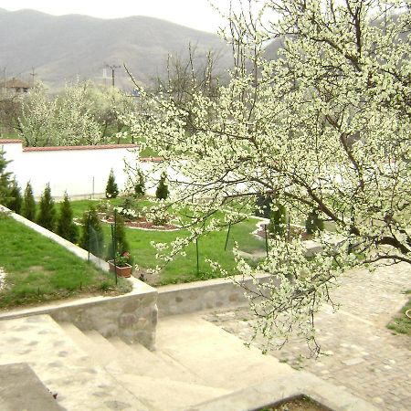Pension Casa Natura Baile Herculane Ngoại thất bức ảnh