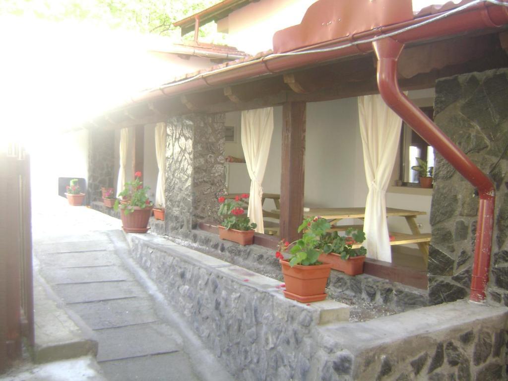 Pension Casa Natura Baile Herculane Ngoại thất bức ảnh
