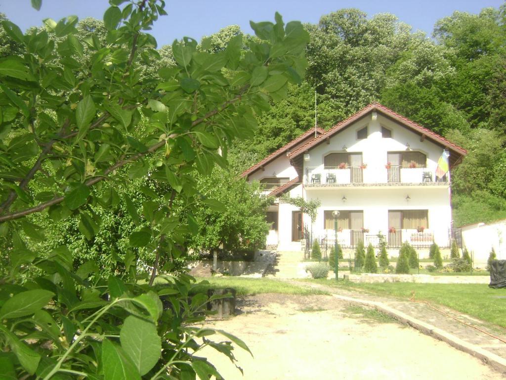 Pension Casa Natura Baile Herculane Ngoại thất bức ảnh