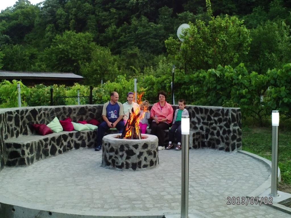 Pension Casa Natura Baile Herculane Ngoại thất bức ảnh