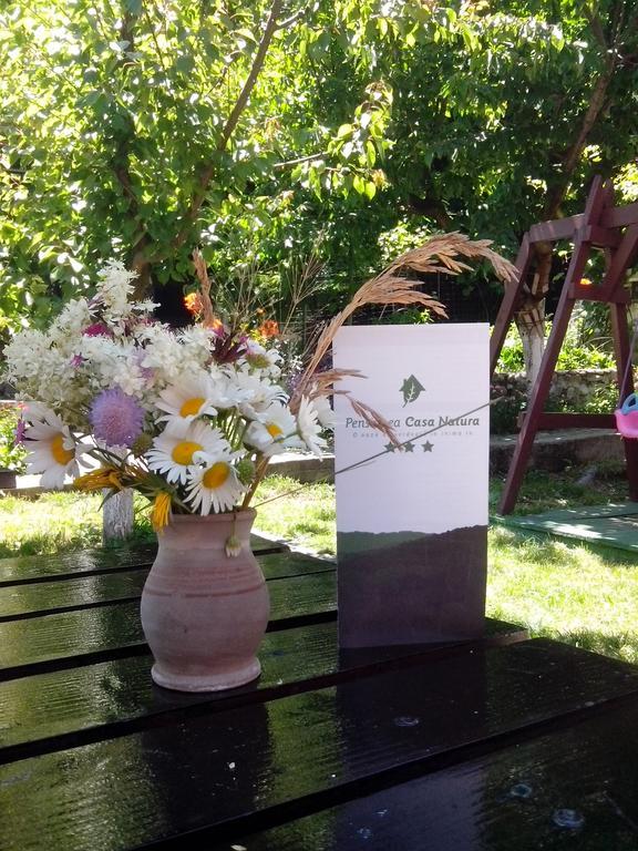 Pension Casa Natura Baile Herculane Ngoại thất bức ảnh