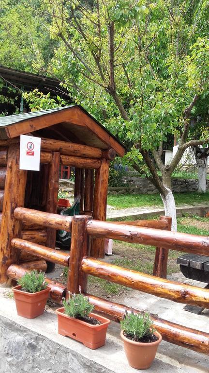 Pension Casa Natura Baile Herculane Ngoại thất bức ảnh
