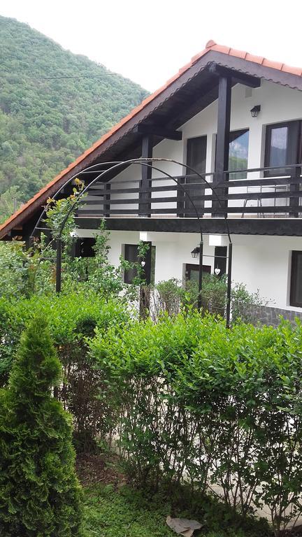 Pension Casa Natura Baile Herculane Ngoại thất bức ảnh