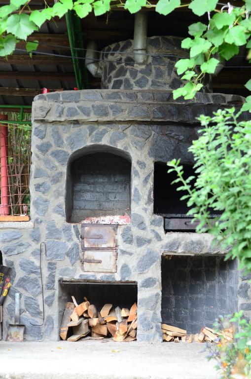 Pension Casa Natura Baile Herculane Ngoại thất bức ảnh